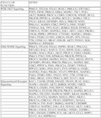 Figure imgf000080_0001