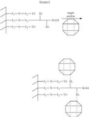 Figure US08383356-20130226-C00006