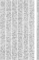 Figure IPA0000293710130000061