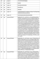 Figure imgf000072_0001