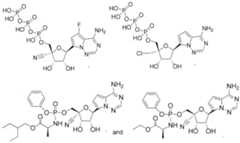 Figure imgf000173_0001