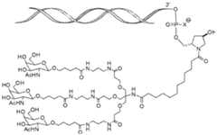 Figure imgf000006_0001