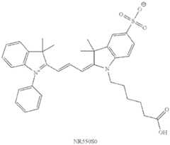 Figure imgf000032_0002