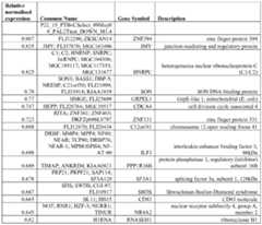 Figure imgf000041_0002