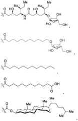 Figure BDA0003625098970000153