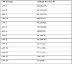 Figure imgf000093_0001