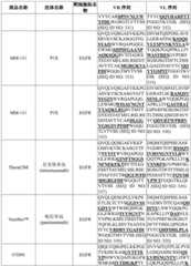 Figure BDA0003627552160001661