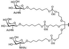 Figure 112016114379466-pct00090