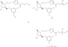 Figure US09090595-20150728-C00033