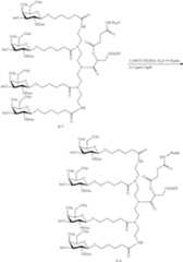 Figure US11896674-20240213-C00097