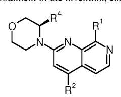 Figure imgf000020_0001