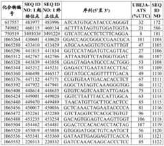 Figure BDA0003282506760001382