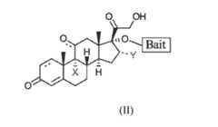 Figure imgf000061_0001