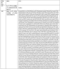 Figure BDA0001868160740001472