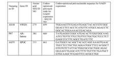 Figure imgf000125_0001