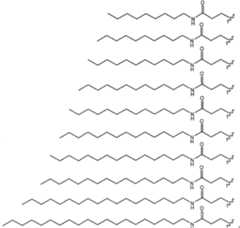 Figure A20068002978800971