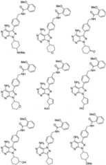 Figure FDA0003512949180000361