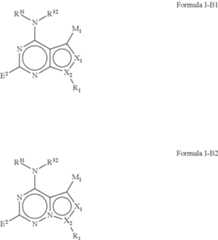 Figure US09295673-20160329-C00042