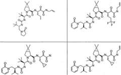 Figure imgf000274_0003