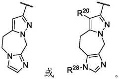 Figure BDA0002911816760000593