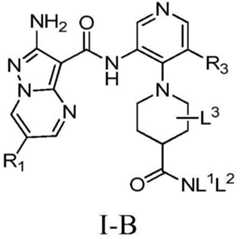 Figure BDA0001412716210005071