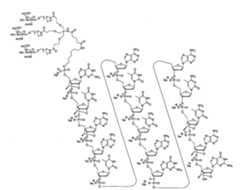 Figure 108131991-A0202-12-0052-21