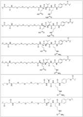 Figure FDA0002889616210000101