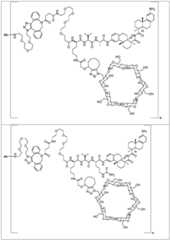 Figure FDA0002889616210000461