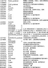 Figure BDA0000057170160001961