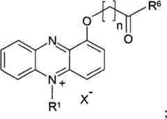 Figure BPA00001263293900331