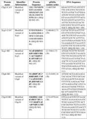 Figure imgf000053_0001