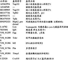 Figure BDA0000057170160002101