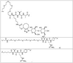 Figure FDA0002889616210000121