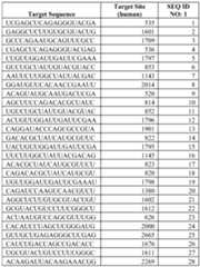 Figure imgf000096_0001