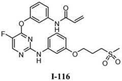 Figure BDA0001453135130002632