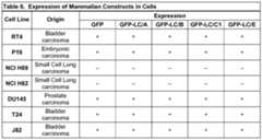 Figure imgf000091_0001