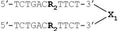 Figure US08202850-20120619-C00032