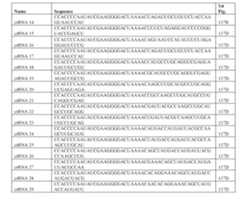 Figure imgf000335_0001