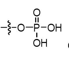 Figure imgf000565_0004