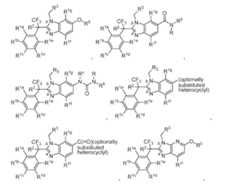 Figure imgf000104_0003