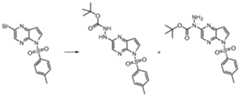 Figure imgf000479_0001