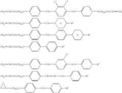 Figure US06899929-20050531-C00006