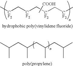 Figure US07867592-20110111-C00038