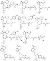 Figure BDA0002537542900001231