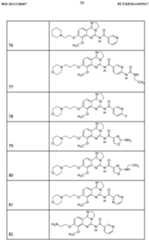 Figure imgf000031_0001