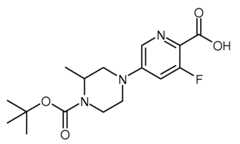 Figure 112015126096318-pct00029