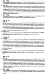 Figure 112008046186434-PCT00018