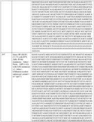 Figure imgf000180_0001