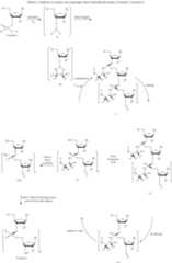 Figure US10329318-20190625-C00035