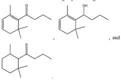 Figure imgf000041_0003